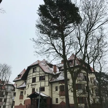 Hania - Krynica Morska